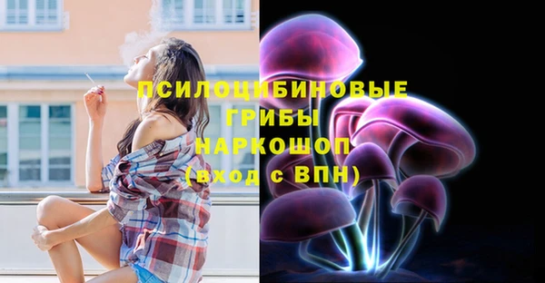 стаф Навашино