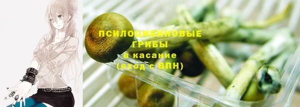 круглые Надым